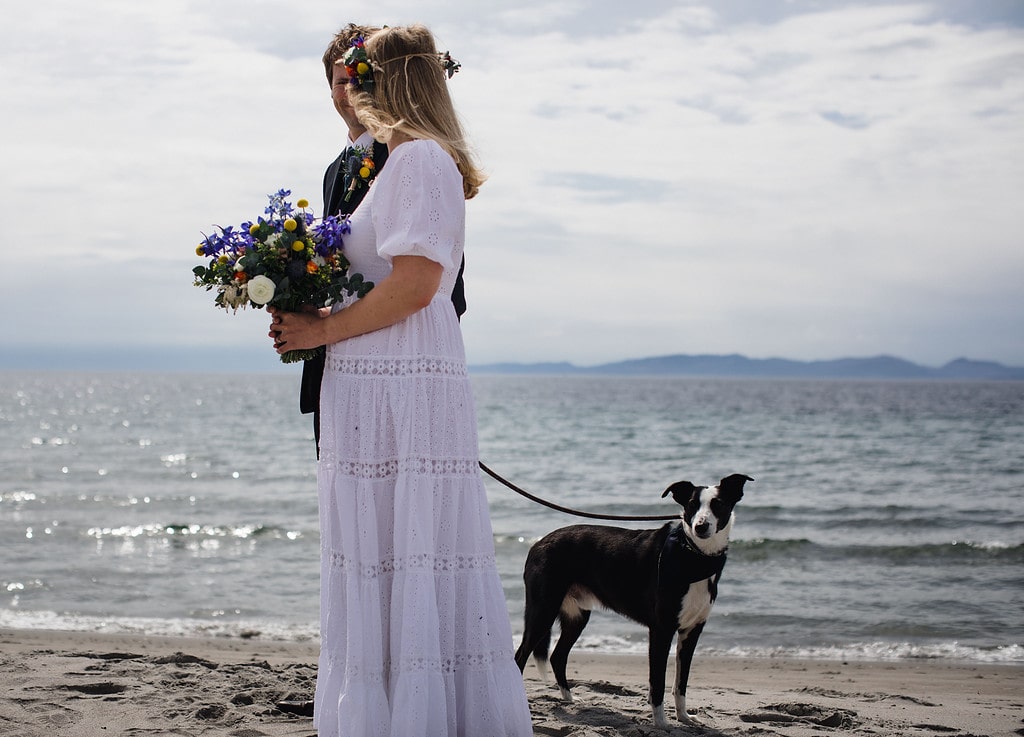 Dog in wedding in Scotland